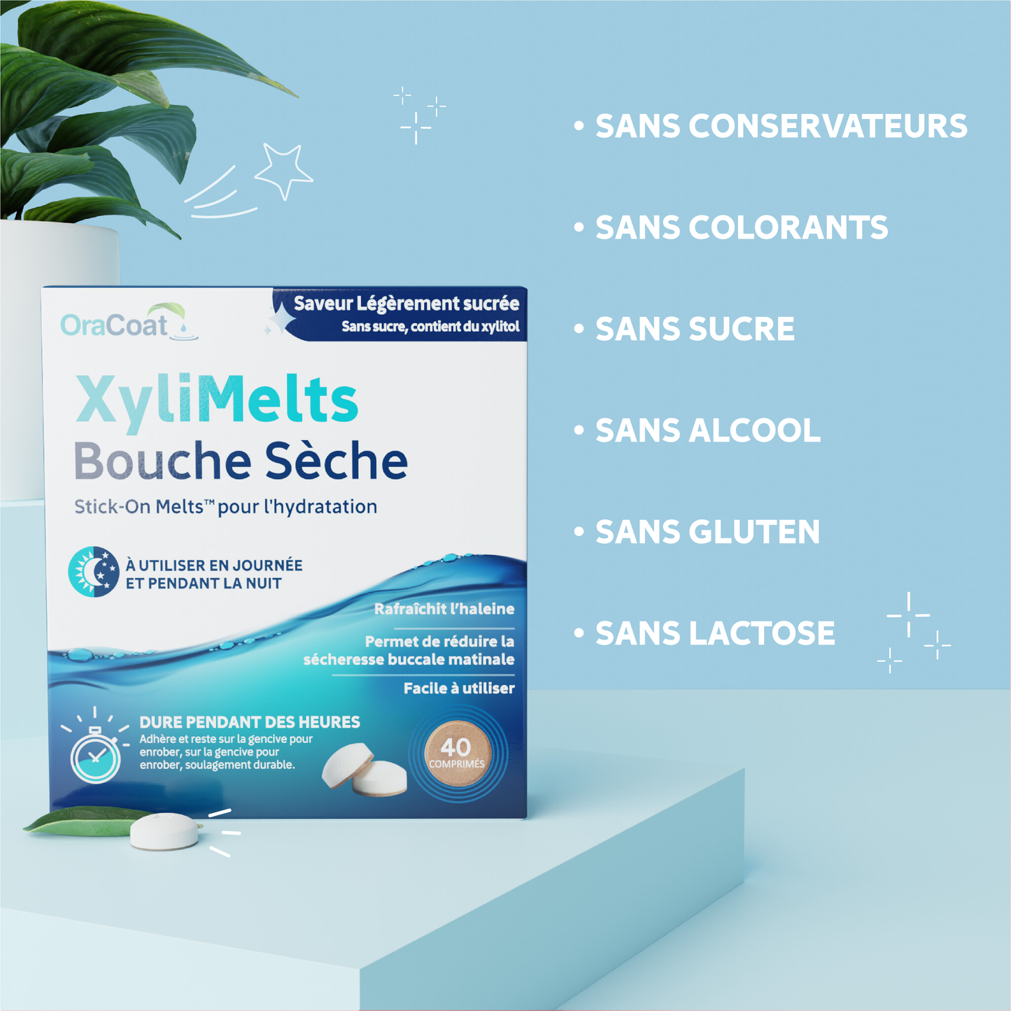 XyliMelts - Légèrement Sucrée